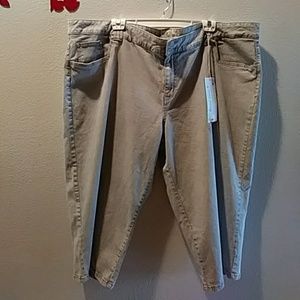NEW Avenue gray Jeans size 26